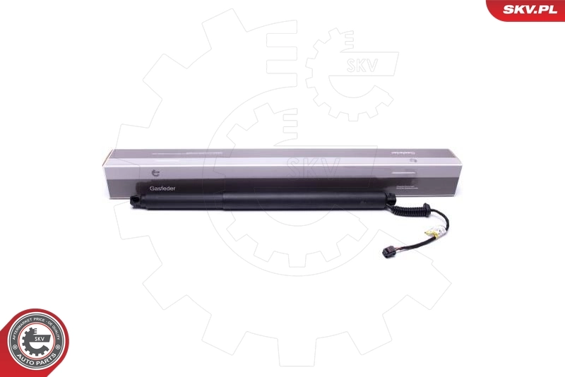 Electric Motor, tailgate